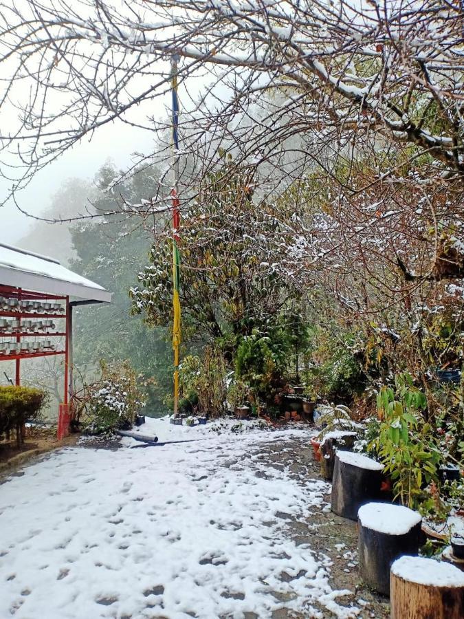 Hermit Retreat Darjeeling  Exterior photo
